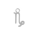 Load image into Gallery viewer, Sterling Silver Capricorn Charm - Moon Charged Crystals