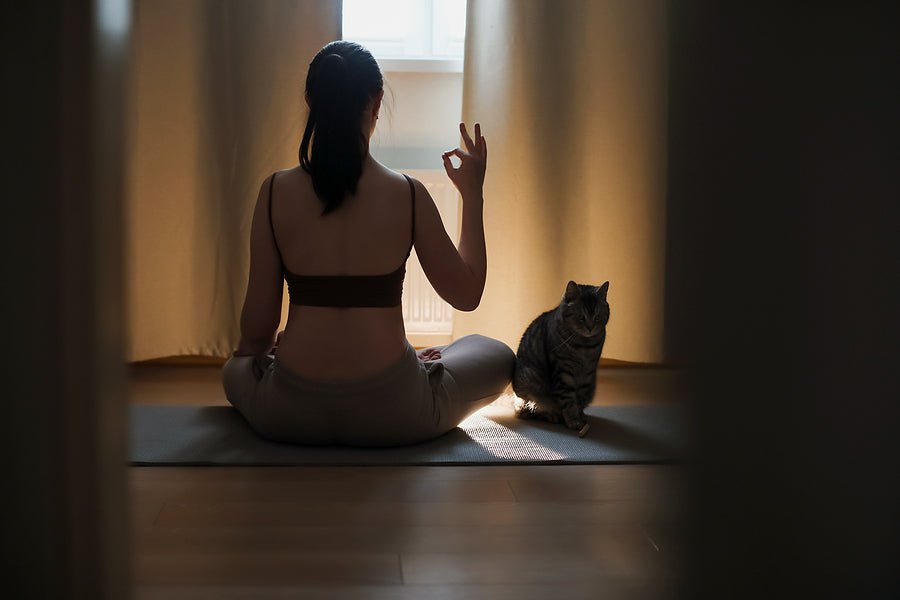Jessica Alba Reveals Regular Meditation Practice - Moon Charged Crystals