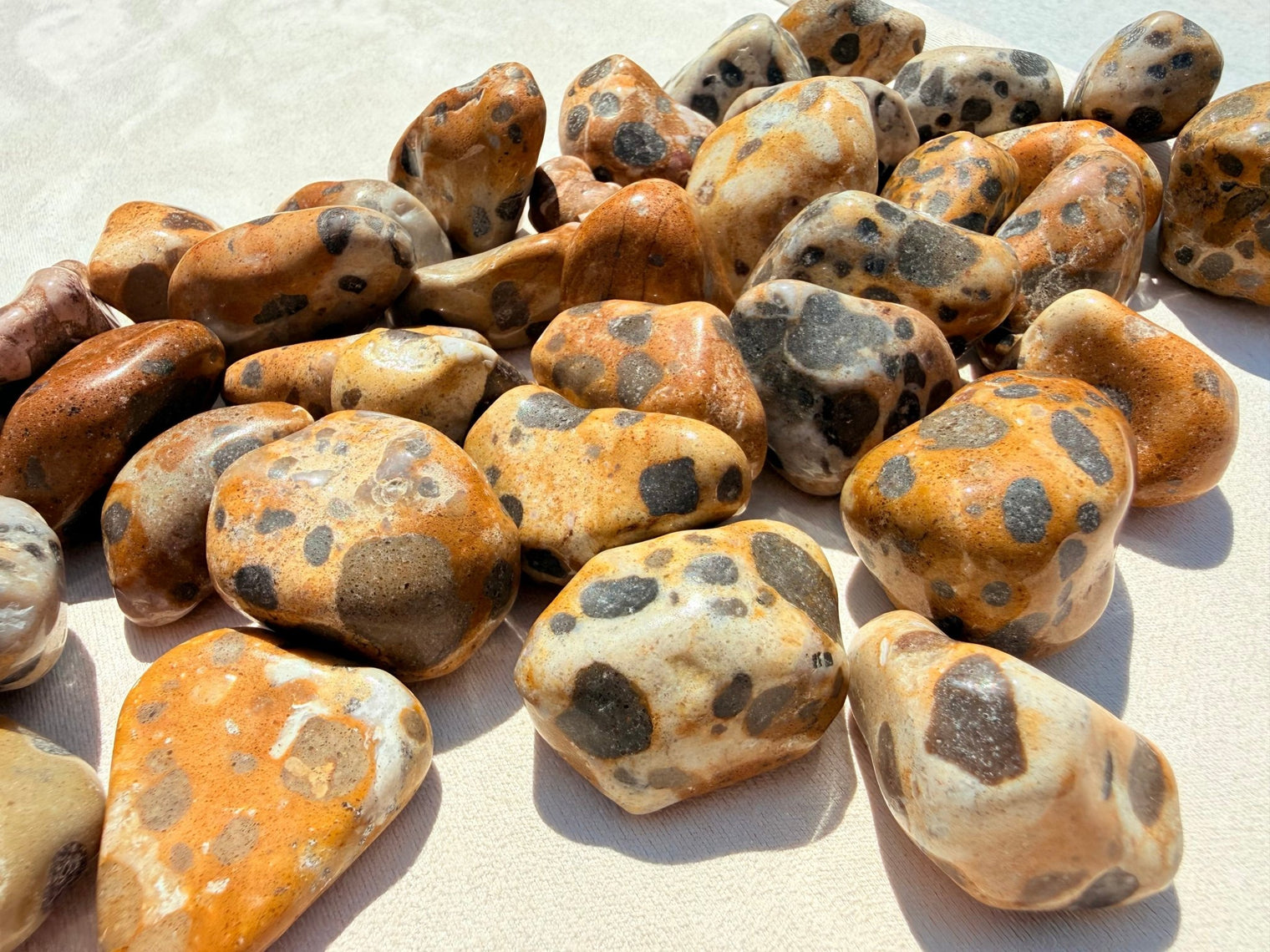 Leopardskin Jasper: Spiritual Properties - Moon Charged Crystals
