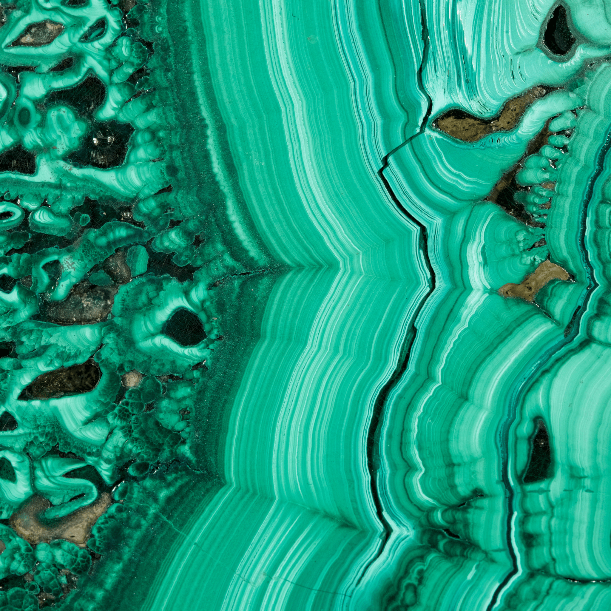 Malachite - Moon Charged Crystals