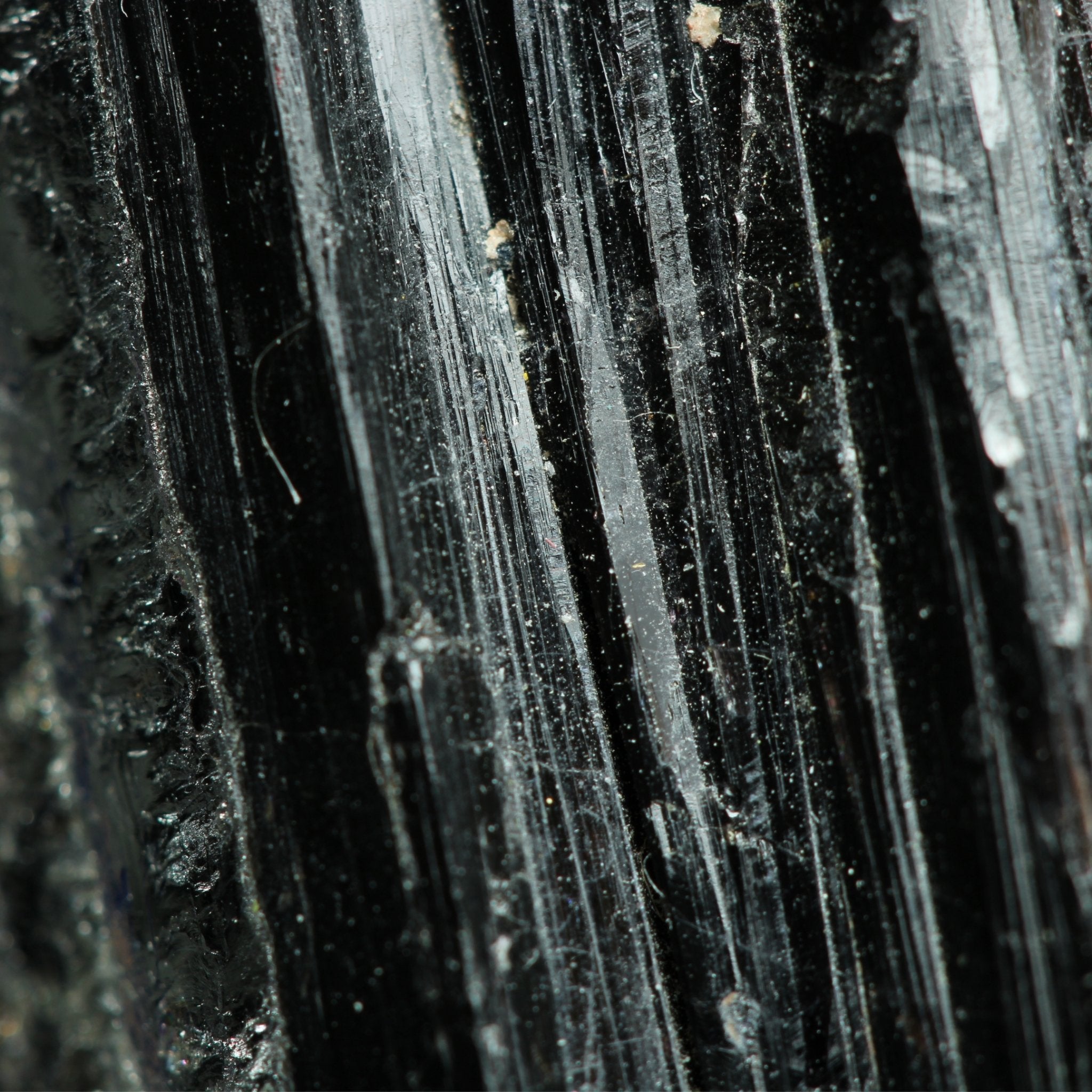 Stay Grounded with Tourmaline Energy - Moon Charged Crystals
