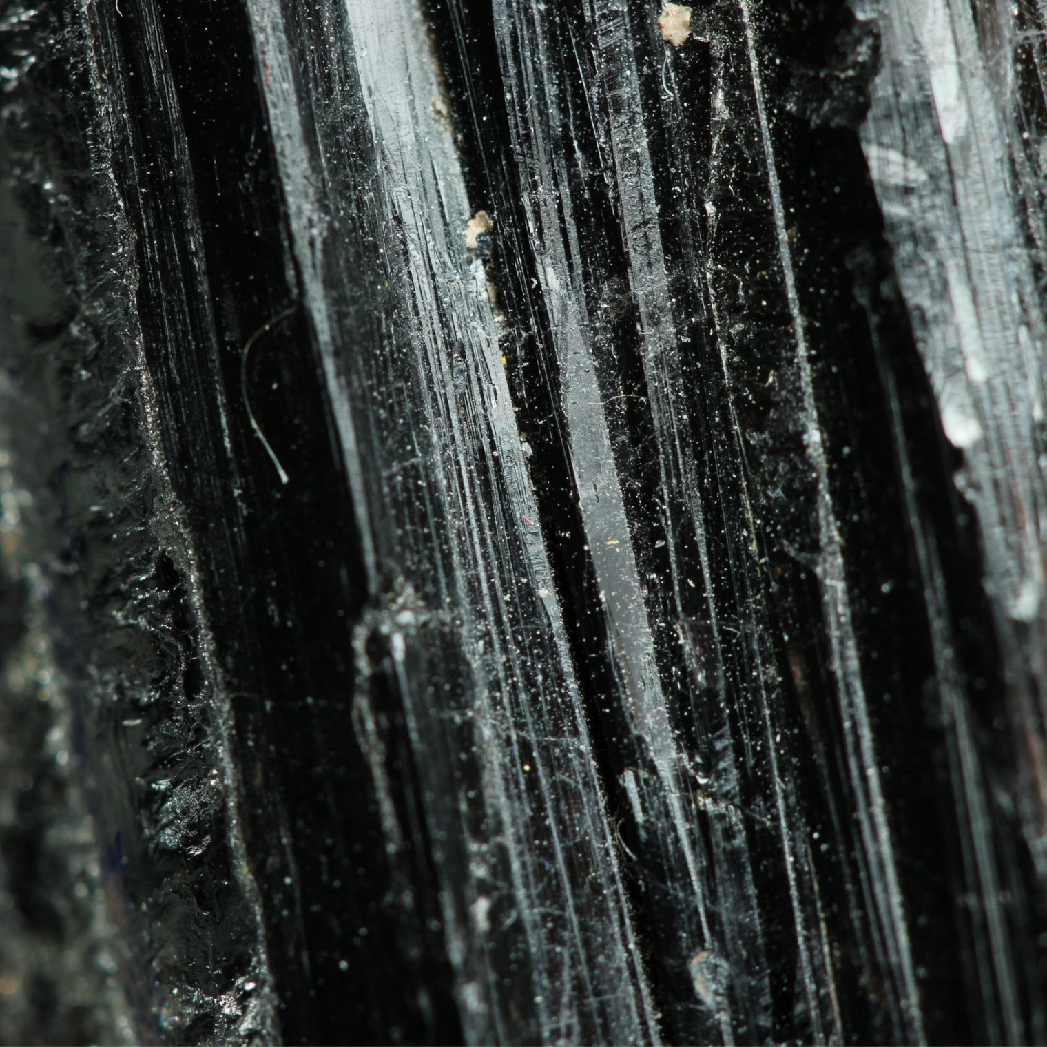 Stay Grounded with Tourmaline Energy - Moon Charged Crystals