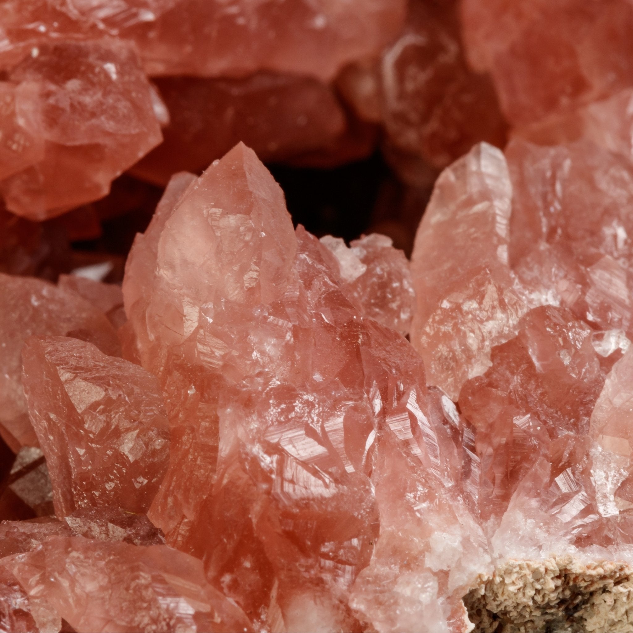 Why Pink Amethyst is the Most Popular Crystal of the Year - Moon Charged Crystals