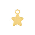 Load image into Gallery viewer, 24 Carat Gold Star Charm - Moon Charged Crystals
