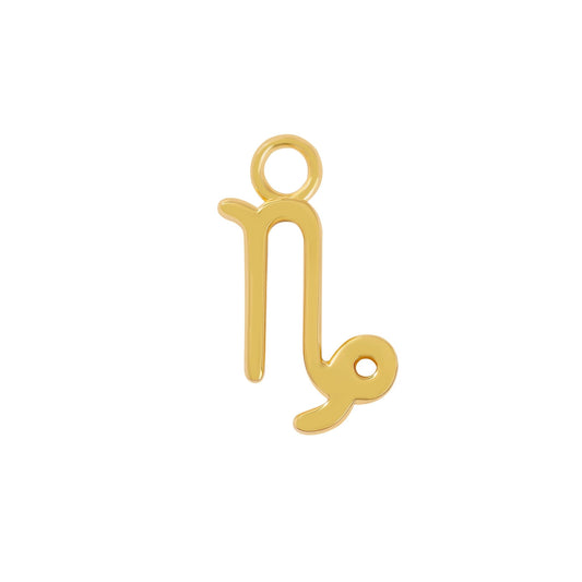 24 Carat Gold Capricorn Charm - Moon Charged Crystals