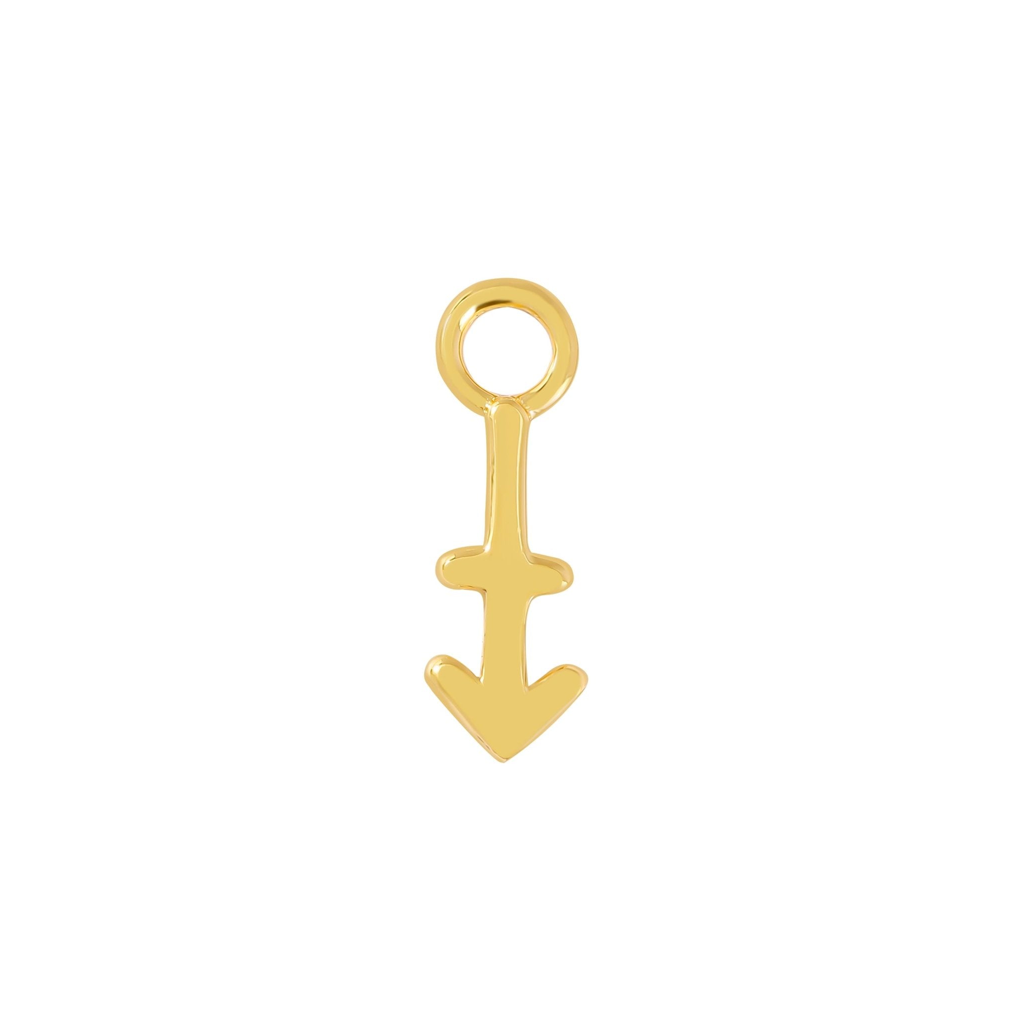 24 Carat Gold Sagittarius Charm - Moon Charged Crystals