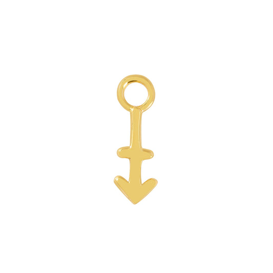 24 Carat Gold Sagittarius Charm - Moon Charged Crystals