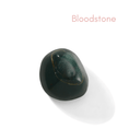 Load image into Gallery viewer, Bloodstone - Crystals for Healing Charm Bag - Moon Charged Crystals
