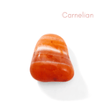 Load image into Gallery viewer, Carnelian - Crystals for Good Luck Charm Bag - Moon Charged Crystals
