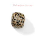 Load image into Gallery viewer, Dalmation Jasper - Crystals for Manifestation Charm Bag - Moon Charged Crystals

