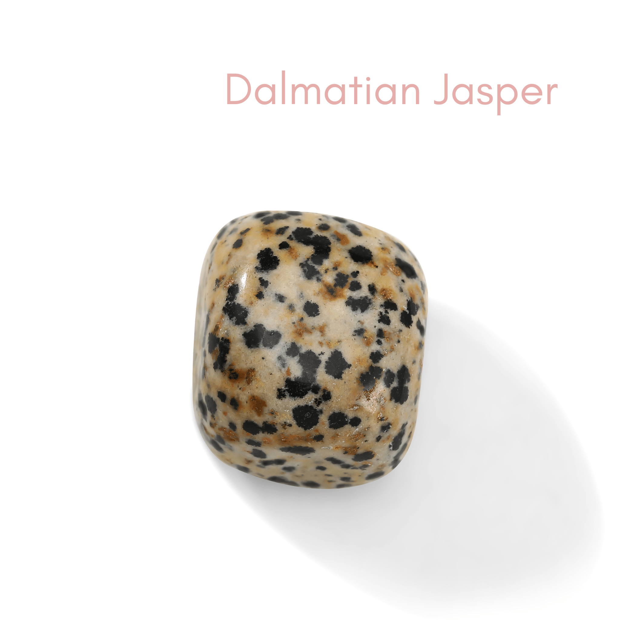 Dalmation Jasper - Crystals for Manifestation Charm Bag - Moon Charged Crystals
