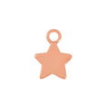 Load image into Gallery viewer, Rose Gold Star Charm - Moon Charged Crystals
