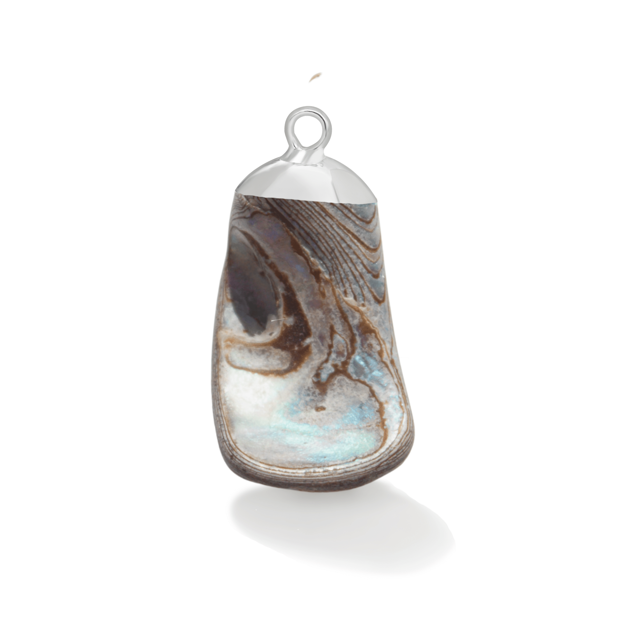 Silver Abalone Shell Gemstone - Moon Charged Crystals