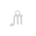 Load image into Gallery viewer, Sterling Silver Scorpio Charm - Moon Charged Crystals
